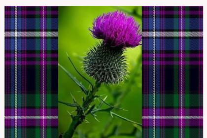 Scottish Ancestry Group (SAG)